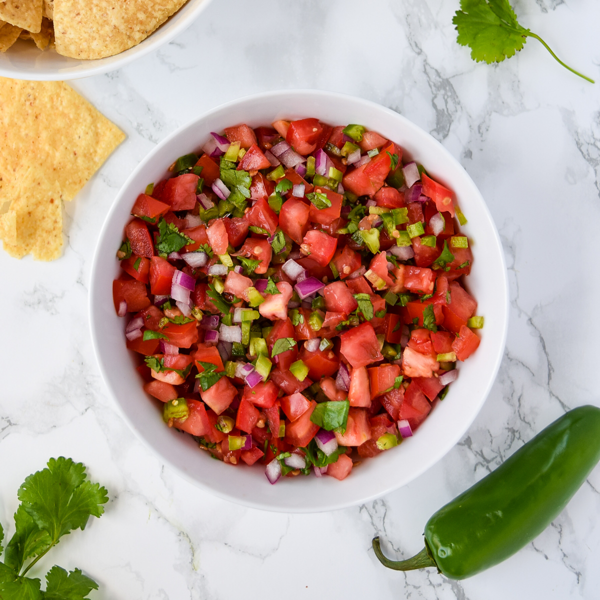 Bowl of Pico de Gallo with tortilla chips